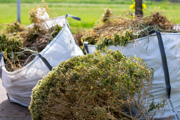 Best Yard Cleanup Services  in Cambridge, MD